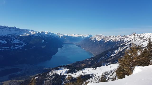 ...und hinunter zum tiefblauen Brienzersee