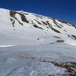 ...in einem grossen Bogen ostwärts über das Breitenfeld zu einer betonierten Wasserquelle