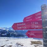 nach einer kurzen Pause beginnen wir den Abstieg, der uns in weitem Bogen hinunter nach Breitenfeld leitet