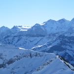 wir blicken Richtung Wetterhorn und Rosenlauigletscher