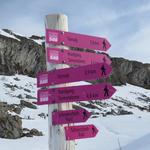 der Schneeschuhtrail zur Tannalp ist bestens markiert