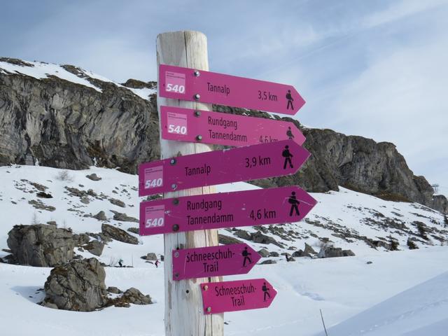 der Schneeschuhtrail zur Tannalp ist bestens markiert