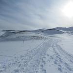 immer links vom Skilift Erzegg geht es auf dem Schneeschuh Trail aufwärts
