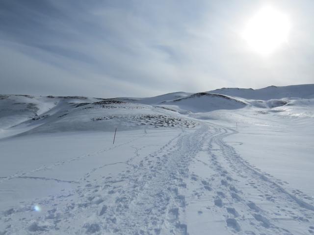 immer links vom Skilift Erzegg geht es auf dem Schneeschuh Trail aufwärts