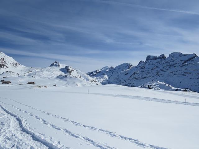 wir erreichen die Ebene bei Fachshubel 1982 m.ü.M.
