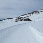 hier legen wir gemeinsam mit unseren Freunden eine gemütliche Mittagsrast ein