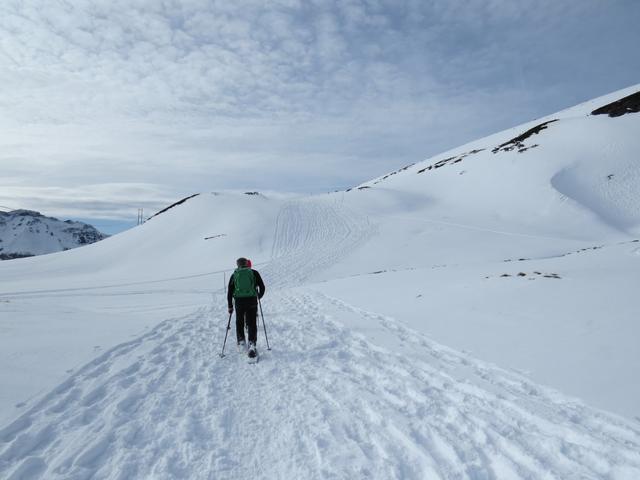 ...wir in den markierten Schneeschuhpfad ein, der sich sanft durch die weite Winterlandschaft zieht