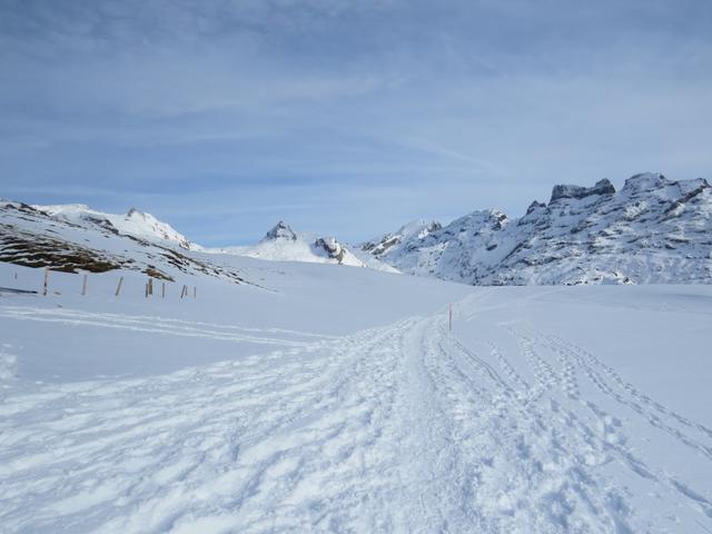 wir blicken zurück Richtung Tannalp