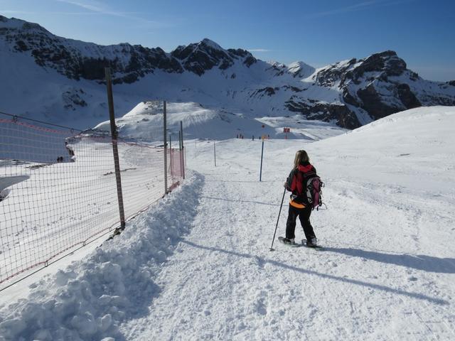 der Schneeschuh Trail führt nun entlang dem Bergkamm stetig abwärts