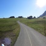 auf der Alpstrasse wandern wir taleinwärts ins Gross-Runs-Tal