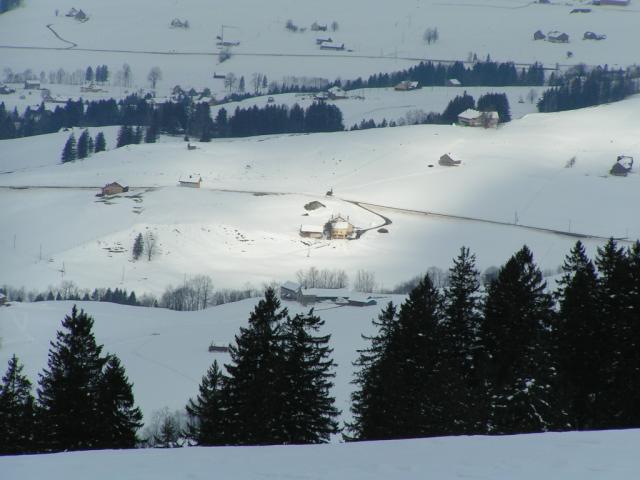 Blick Richtung Brühlisau