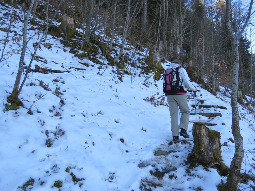 wir ahnten es hier noch nicht, doch wir würden weiter oben auf deutlich mehr Schnee stossen