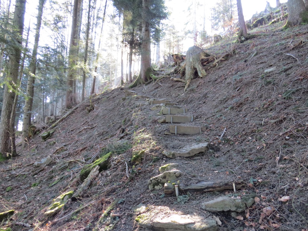 der Serpentinenweg führt uns weiter steil durch den Wald,...