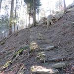 der Serpentinenweg führt uns weiter steil durch den Wald,...