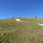 wir wandern über weite Alpweiden aufwärts...