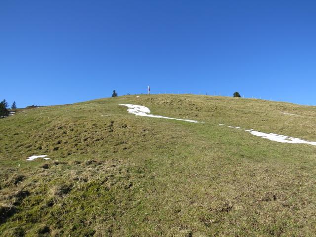 wir wandern über weite Alpweiden aufwärts...