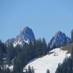 zum kleinen Mythen und dem Haggenspitzli