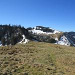 wir lassen die Alpweiden von Humel hinter uns...