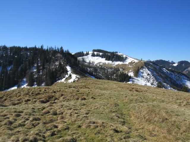 wir lassen die Alpweiden von Humel hinter uns...