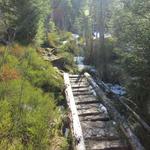 wir folgen dem Holzsteg,...