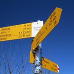 bei der Weggabelung Punkt 1470 m.ü.M. Mösliwald