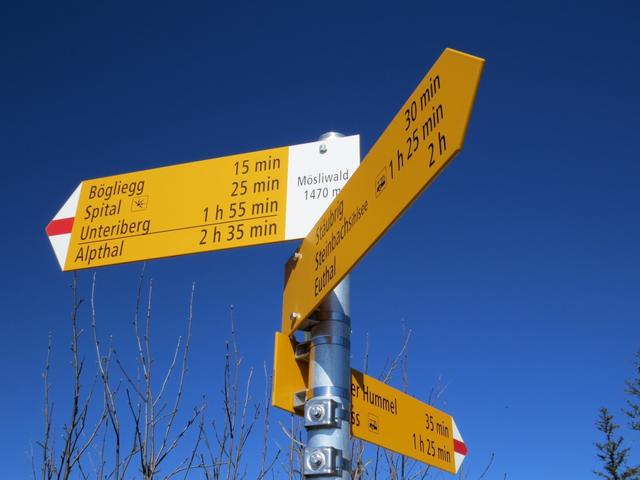 bei der Weggabelung Punkt 1470 m.ü.M. Mösliwald