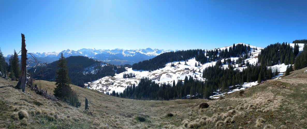 sehr schönes Breitbildfoto mit Blick in die Berge. Bei Breitbildfotos immer noch auf Vollgrösse klicken