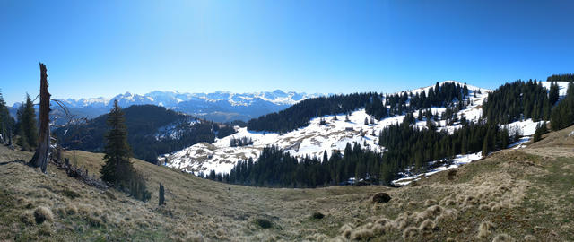 sehr schönes Breitbildfoto mit Blick in die Berge. Bei Breitbildfotos immer noch auf Vollgrösse klicken