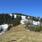 an der Weggabelung verlassen wir rechts abbiegend den Wald und steigen zunächst über grüne Alpweiden...