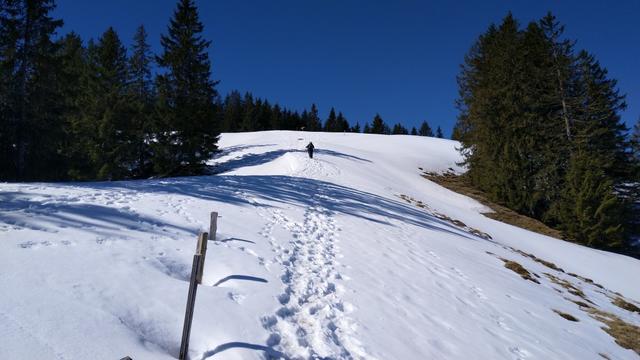 ...bevor wir auf grosse Altschneefelder treffen