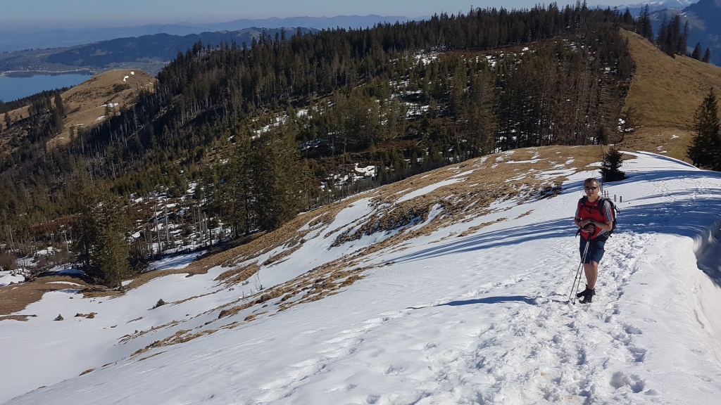 Blick zurück zum Mösliwald