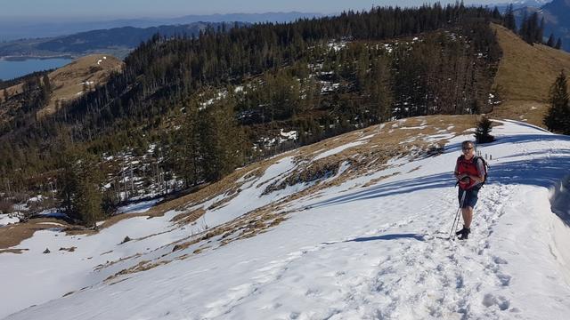 Blick zurück zum Mösliwald