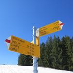 wir erreichen die Weggabelung bei Punkt 1530 m.ü.M. unterhalb des Bögliegg