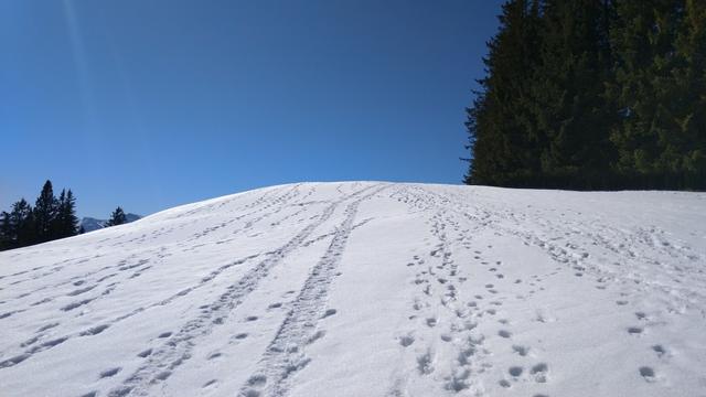 über Altschneefelder geht es noch ein kurzes Stück weiter aufwärts...