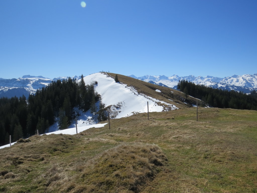 ...bis wir schlussendlich auf dem Bögliegg 1551 m.ü.M. stehen, den zweiten Gipfel des Tages