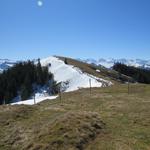 ...bis wir schlussendlich auf dem Bögliegg 1551 m.ü.M. stehen, den zweiten Gipfel des Tages