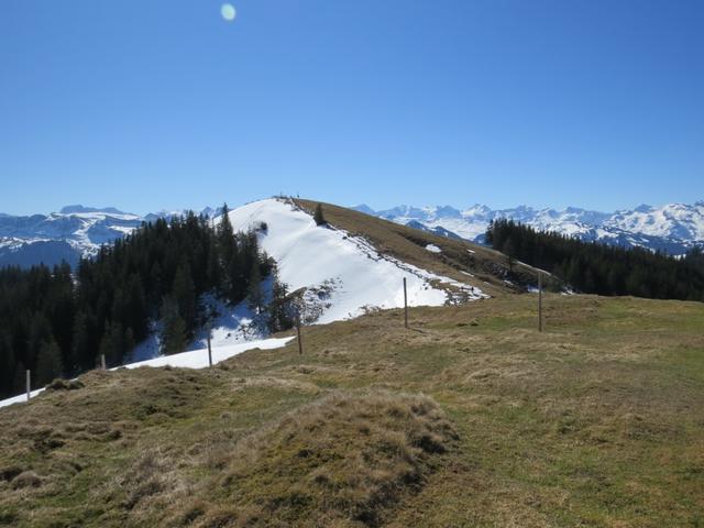 ...bis wir schlussendlich auf dem Bögliegg 1551 m.ü.M. stehen, den zweiten Gipfel des Tages