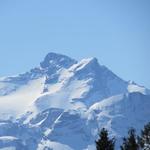 Blick zum Gross und Chli Schärhorn
