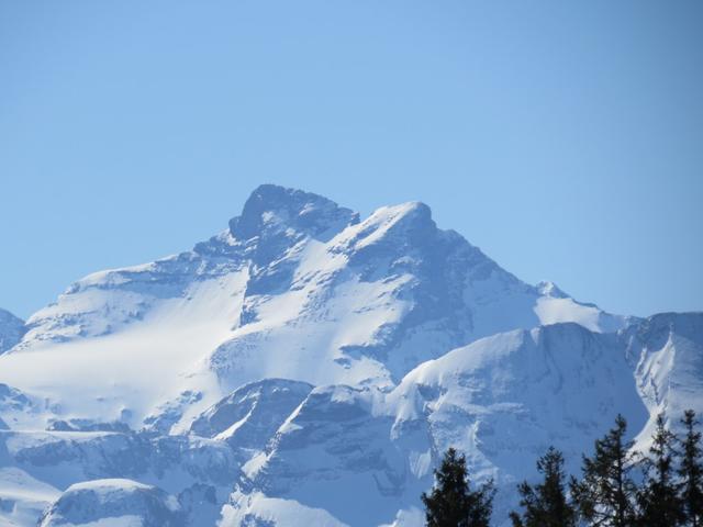 Blick zum Gross und Chli Schärhorn