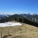 über offenes Gelände steigen wir leicht ab...