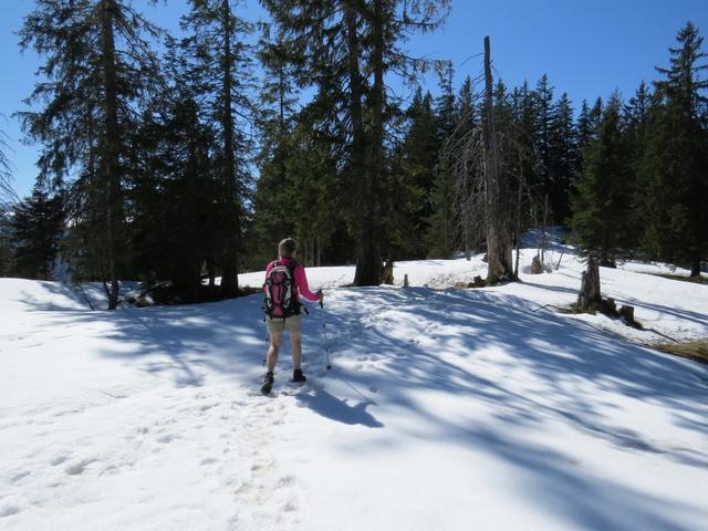 ...wandern wir bei traumhaften Wetter...