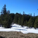 ...auf fast gleichbleibender Höhe...