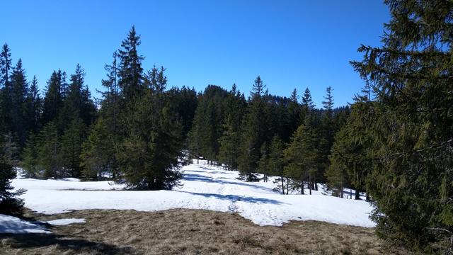 ...auf fast gleichbleibender Höhe...