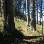 ...über den breiten Bergrücken...