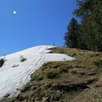 ...direkt zum Regenegg 1531 m.ü.M. – dem vierten Gipfel des Tages