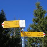 Wegweiser auf dem Regenegg. Nächster Gipfel lautet Gschwändstock