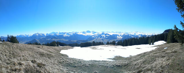 auf dem Regenegg entstand dieses wunderschöne Breitbildfoto mit weitem Blick in die schneebedeckten Alpen