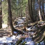 wir halten die Höhe und folgen dem Grat,...