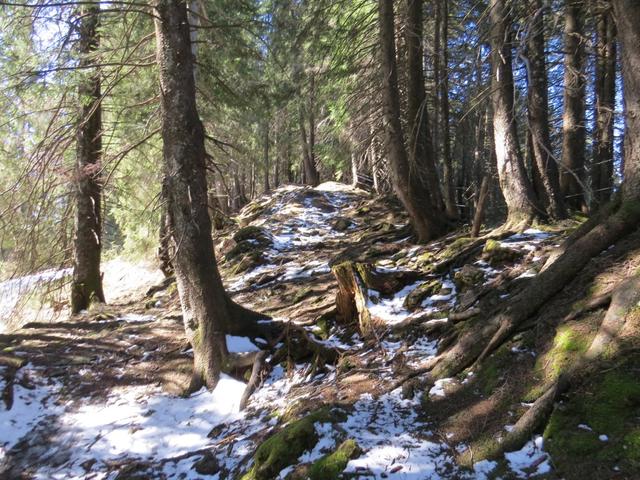 wir halten die Höhe und folgen dem Grat,...