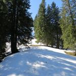 ...auf dem mit jedem Schritt mehr Schnee liegt